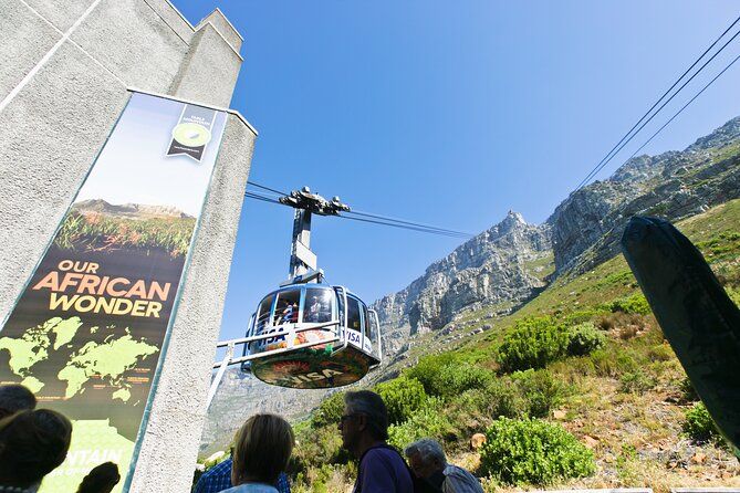 Imagen del tour: Excursión para grupos pequeños de Table Mountain, pingüinos y Cape Point desde Ciudad del Cabo