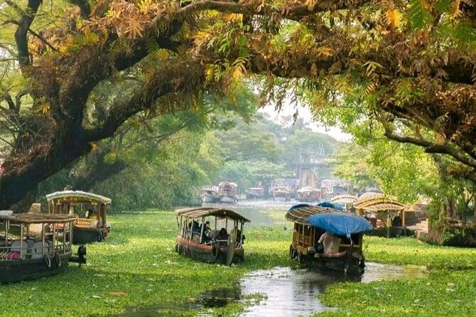 Imagen del tour: Kochi (India) Excursiones en tierra Pick & Drop @ Ship