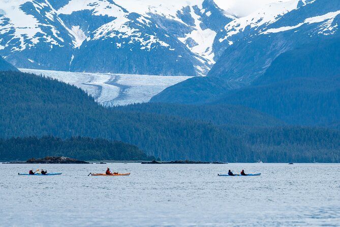 Imagen del tour: Juneau Shore Excursion: Paddle with Whales! Aventura en kayak