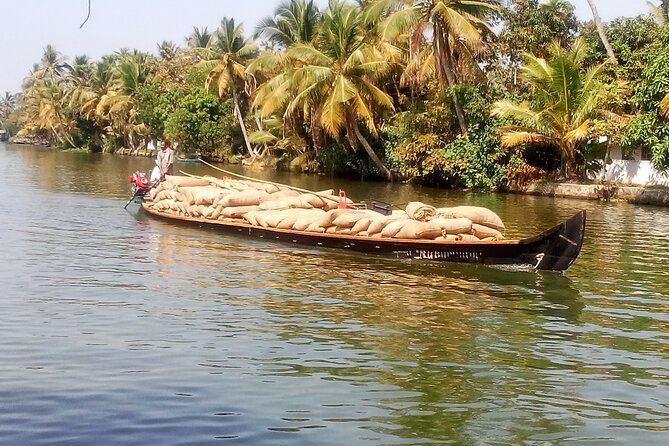 Imagen del tour: Excursión en tierra desde el puerto de Kochi: recogida y entrega en CruiseTerminal