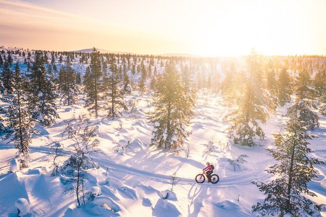Imagen del tour: Tour privado en bicicleta eléctrica Fat Bike en Saariselkä