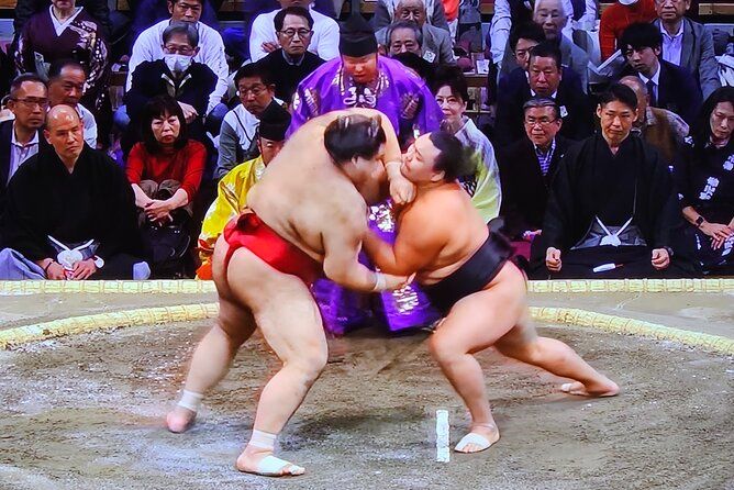 Imagen del tour: Gran Torneo de Sumo Nagoya