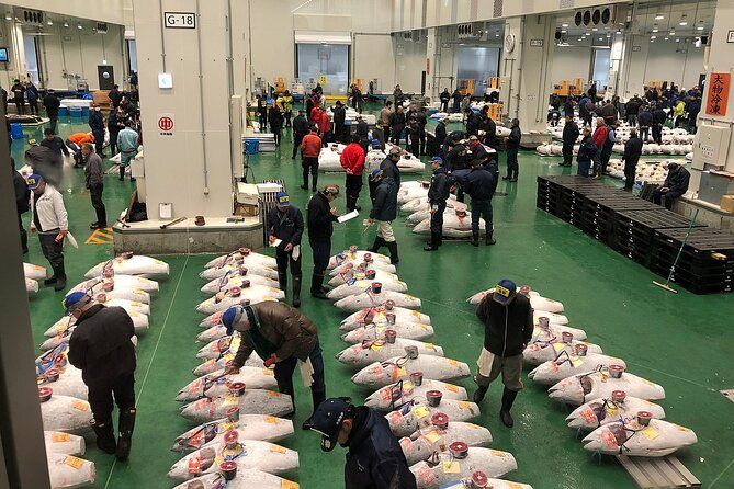 Imagen del tour: Aventura en el mercado matutino: Toyosu y Tsukiji con subasta de atún