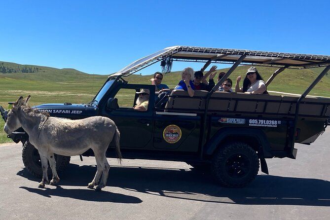 Imagen del tour: JEEP Bison Safari - Público - Tour de medio día