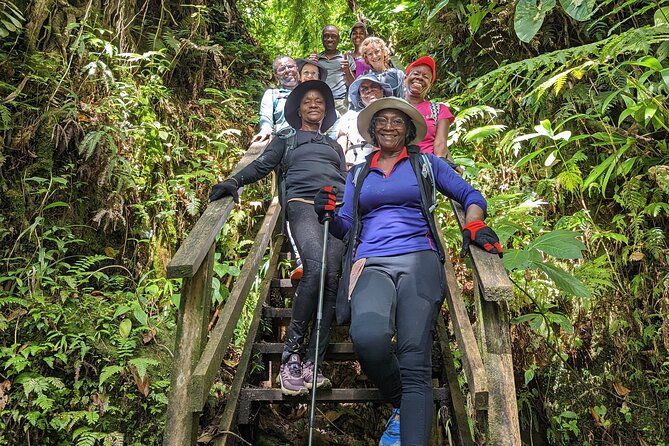 Imagen del tour: Tour de descubrimiento de vida silvestre de 7 horas en Dominica