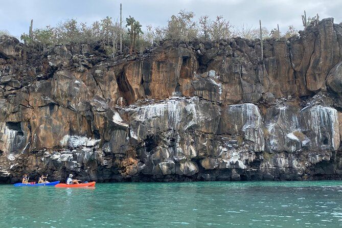 Imagen del tour: Experiencia de Kayaking en Bahía Franklin