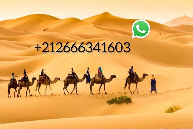 Imagen del tour: 1 noche de caminata en camello por las dunas de Erg Chebbi Merzouga sin extra