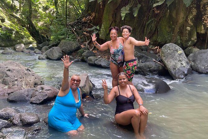 Imagen del tour: Tour de medio día por la playa de las cascadas de chocolate Leis hawaianos