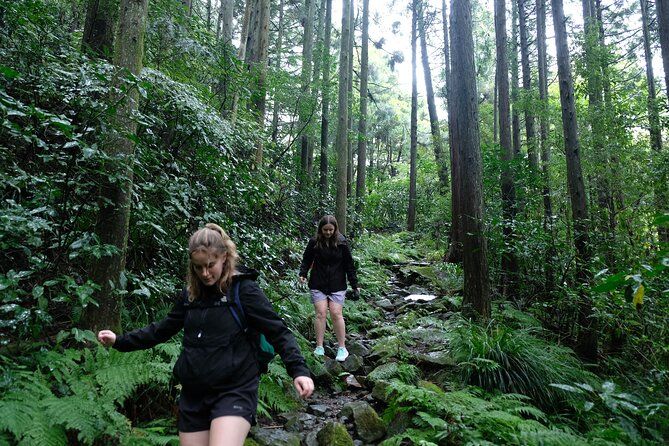 Imagen del tour: Baño de bosque de medio día en el geoparque de Hakone