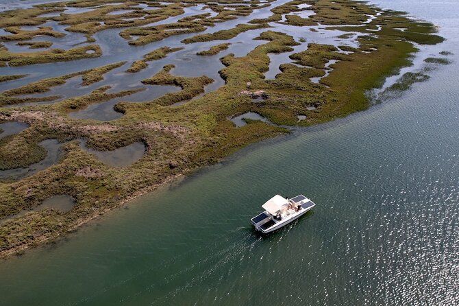 Imagen del tour: Paseo en Barco Ecológico por la Laguna de Ria Formosa desde Faro