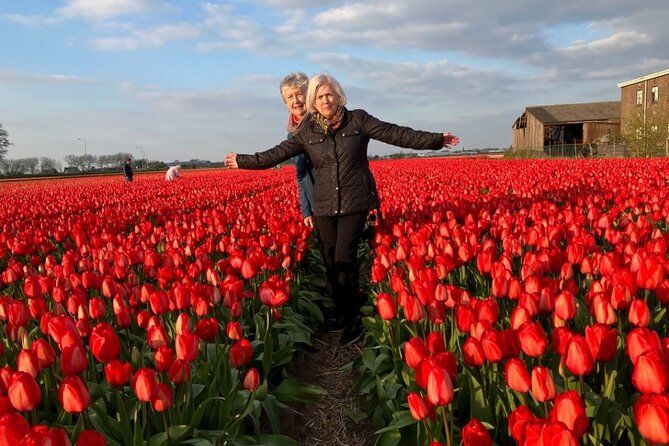 Imagen del tour: Tour por los campos de tulipanes desde Keukenhof