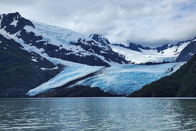 Imagen del tour: Experiencia en el Valle de los Glaciares con crucero por el glaciar Portage y recorrido por la vida silvestre