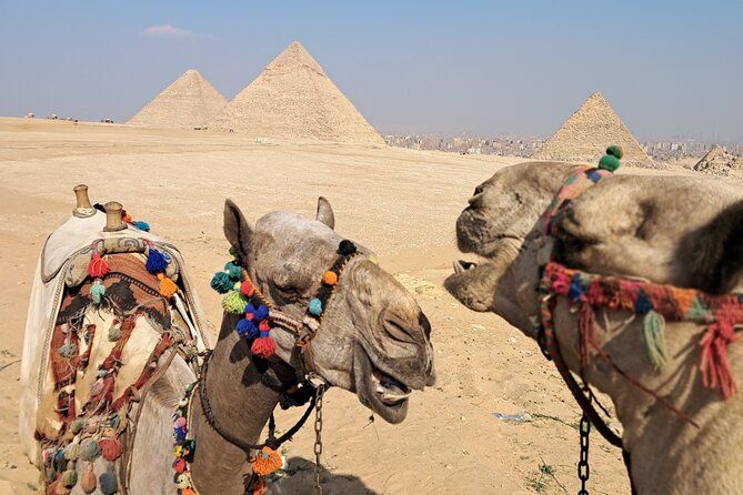 Imagen del tour: Todo incluido Saqqara, pirámides de Giza, almuerzo, tarifas, paseo en camello de 30 minutos