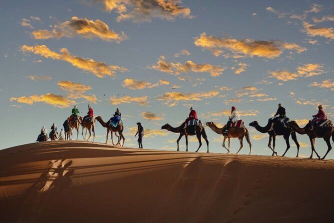 Imagen del tour: Camel Trekking & 1 Night in Sahara Desert camp