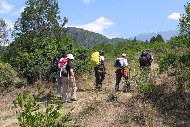 Imagen del tour: Mount Meru View Trek: 4 días, paquete, costo e itinerario 2024