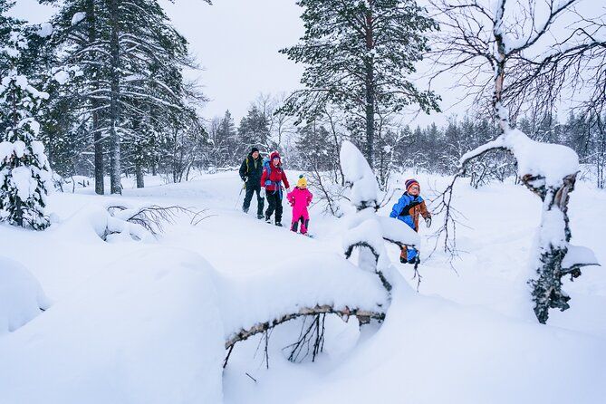 Imagen del tour: Aventura con raquetas de nieve en Saariselkä