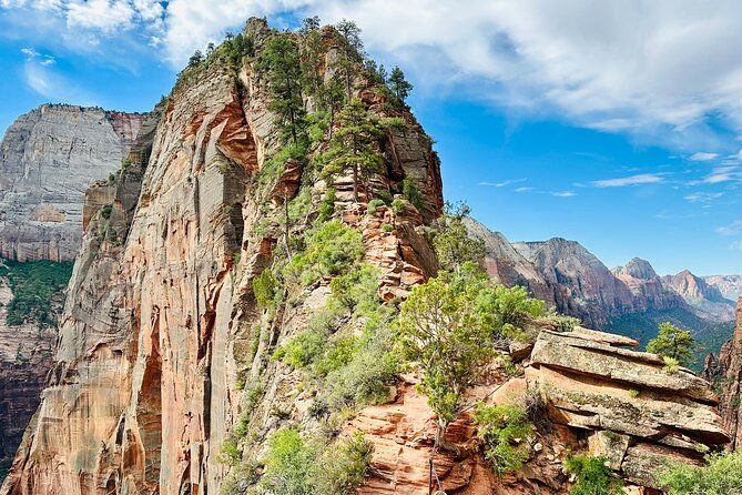 Imagen del tour: Tour privado de senderismo guiado de medio día por Angels Landing