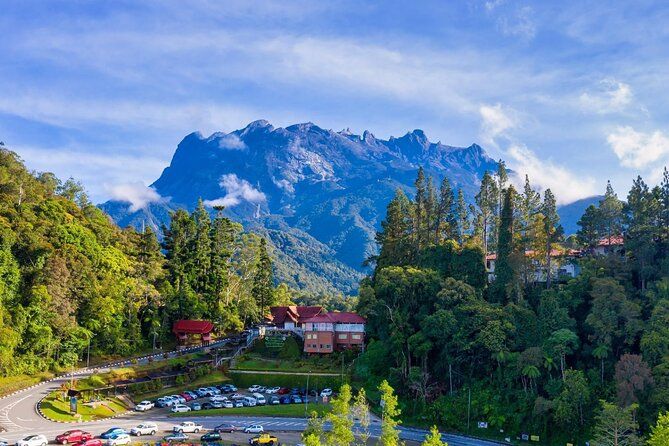 Imagen del tour: Excursión privada a la granja lechera Desa, Parque Nacional Kinabalu, aguas termales y Canopy Walk