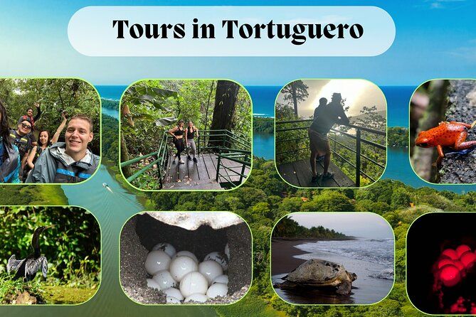 Imagen del tour: Tours en Tortuguero