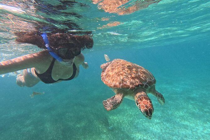 Imagen del tour: Costa maya, tours de snorkel con tortugas y arrecife.