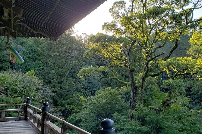 Imagen del tour: Himeji Tour compartido de 7 horas con guía autorizado y almuerzo Soba