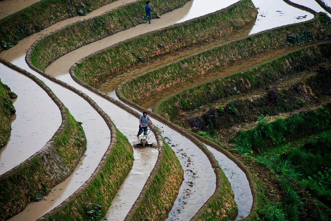 Imagen del tour: Guilin: tour privado de un día a las aldeas y terrazas de arroz de Longji