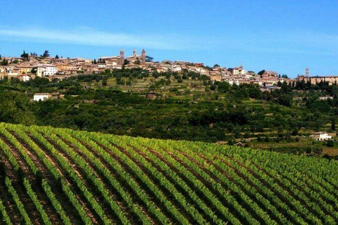 Imagen del tour: Tour privado Vino y queso una combinación perfecta val 'Orcia