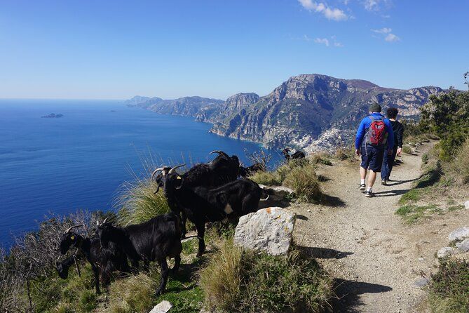 Imagen del tour: Trekking de la Costa Amalfitana - 4 Días / 3 Noches