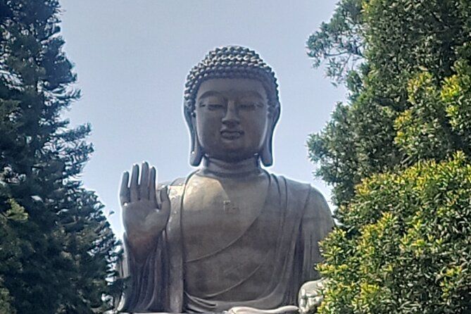 Imagen del tour: Excursión al Buda Tian Tan de la isla Lantau en un Mercedes-Benz