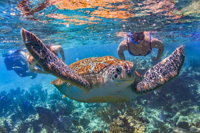 Imagen del tour: Tulum, Snorkeling con Tortugas Marinas, Cenote y Almuerzo en la Playa