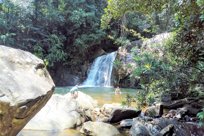 Imagen del tour: Excursión de senderismo por la selva tropical de Sinharaja