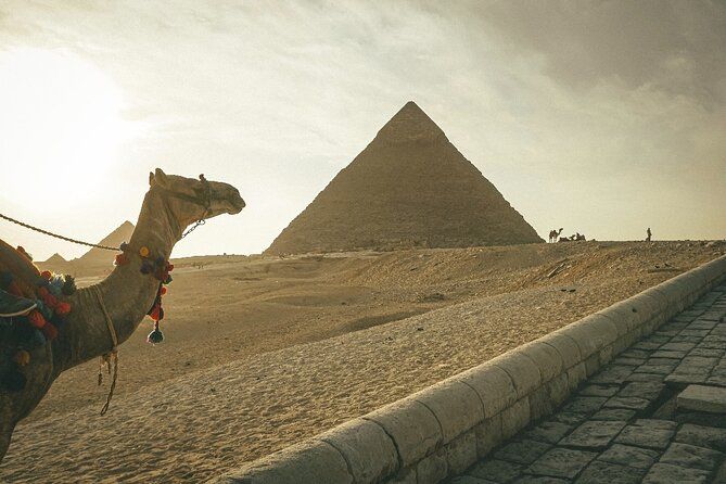 Imagen del tour: Desde el puerto de El Sokhna: visita guiada a la pirámide de Giza y al museo nacional