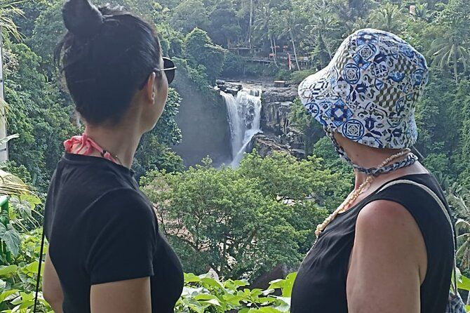 Imagen del tour: Visita guiada privada maravillosa de Ubud