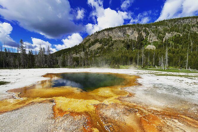 Imagen del tour: Tour privado épico de Yellowstone