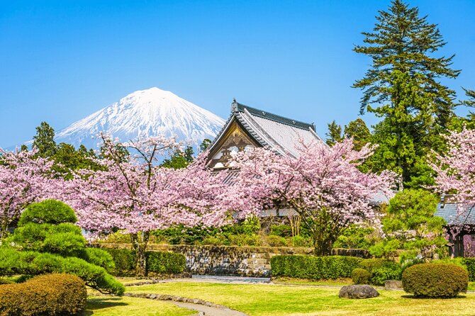 Imagen del tour: Tour del Monte Fuji en el lago Kawaguchi y Oshino Hakkai