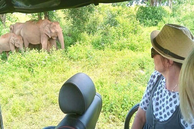 Imagen del tour: Tour de safari totalmente privado por el Parque Nacional Udawalawe