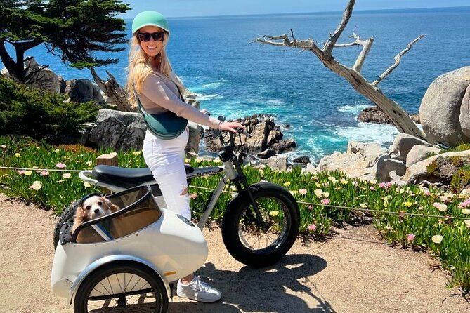 Imagen del tour: Visita guiada en bicicleta eléctrica y sidecar que admite perros
