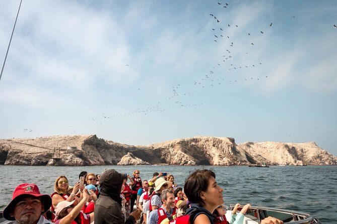 Imagen del tour: Islas Ballestas y Reserva Nacional desde Puerto San Martín