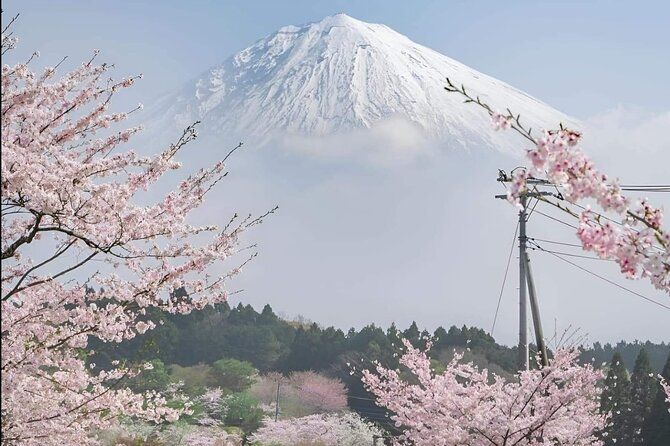 Imagen del tour: Tour privado de un día en el monte Fuji desde Tokio