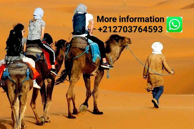 Imagen del tour: Merzouga Paseo en camello y alojamiento en campamento de lujo
