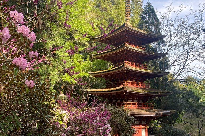 Imagen del tour: Exclusivos tours de lujo de un día en Serene Nara