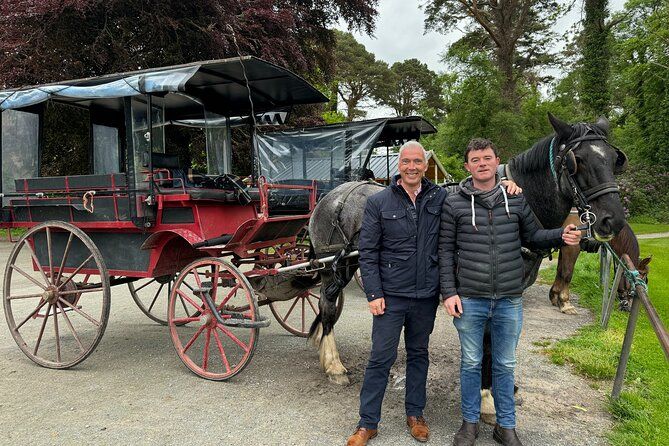 Imagen del tour: Tour privado de Kerry y Killarney desde Cork o Cobh