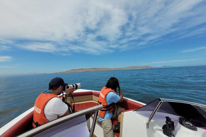 Imagen del tour: Tour Privado a las Islas Ballestas