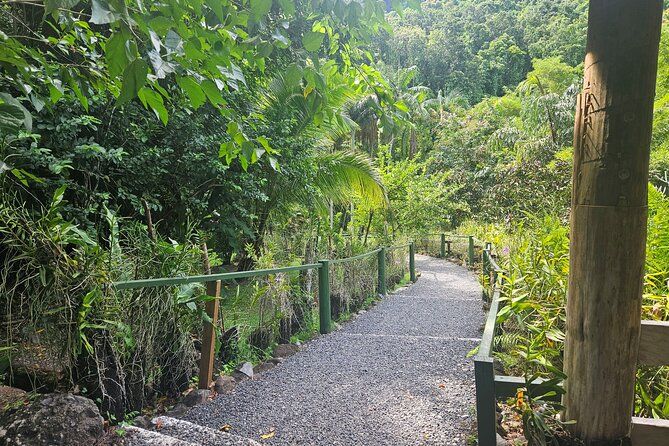 Imagen del tour: Tour privado: aguas termales y aventura de senderismo en el jardín del gigante durmiente