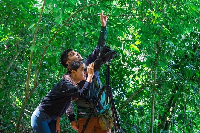 Imagen del tour: Caminata guiada por la reserva del bosque nuboso de Monteverde