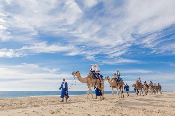 Imagen del tour: Excursión de un día a Tánger desde Rabat con paseo gratuito en camello