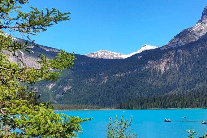 Imagen del tour: Excursión de día completo a Canmore Lake Louise, Moraine Lake y Emerald Lake