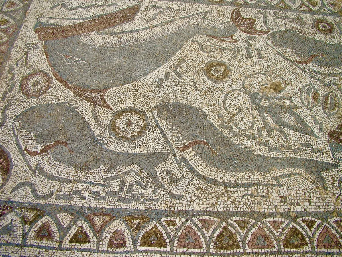 Uno de los preciosos mosaicos muy bien conservado y con dibujos de peces