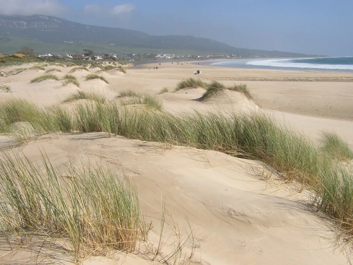 Las dunas litorales de arena blanca que hacen famosa a la playa de Bolonia