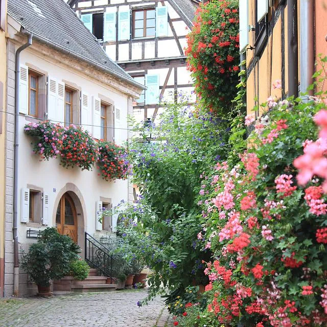 Imagen de Los siete pueblos con más encanto para visitar Alsacia